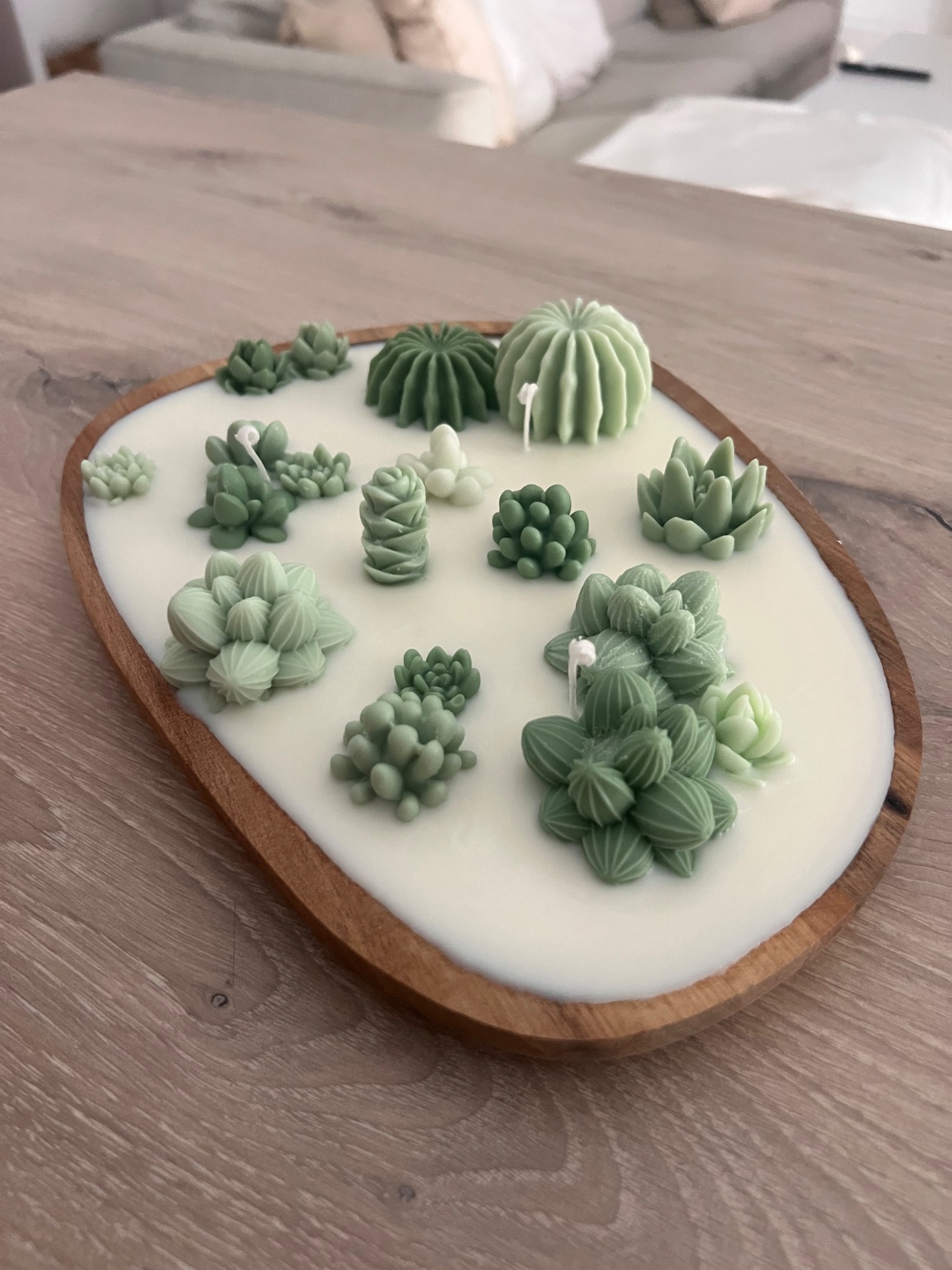 Plateau cactus 🌵